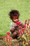 India kindje tussen bloemen.jpg